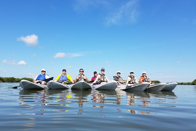 Mangrove Tunnels, Dolphins, Manatee Tour #1 Rated in Cocoa Beach - Starting in Cocoa Beach With Simple Kayaking Instruction