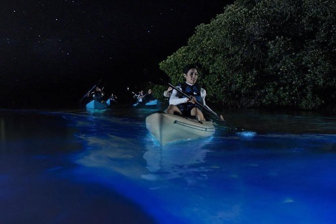 Mangrove Tunnels, Dolphins, Manatee Tour #1 Rated in Cocoa Beach - Who Will Enjoy This Kayak Tour Most