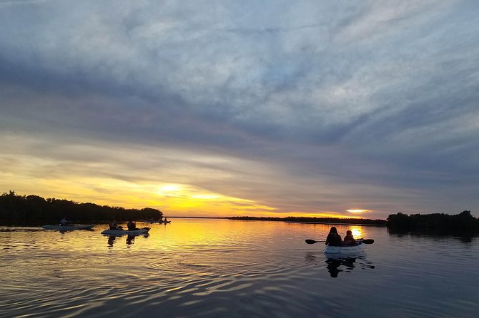Mangrove Tunnels, Dolphins, Manatee Tour #1 Rated in Cocoa Beach - Paddling the Open Lagoon and Watching for Wildlife
