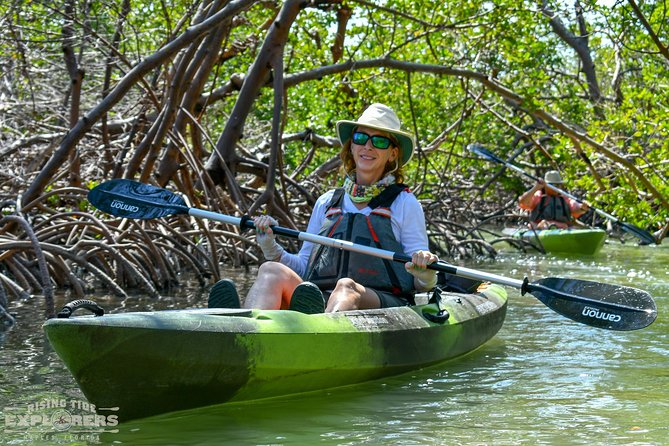 Mangrove Tunnels & Mudflats Kayak Tour - Local Biologist Guides - Why the mangrove tunnels are the main event