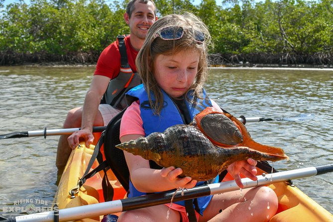 Mangrove Tunnels & Mudflats Kayak Tour - Local Biologist Guides - A closer look at the 2-hour paddle