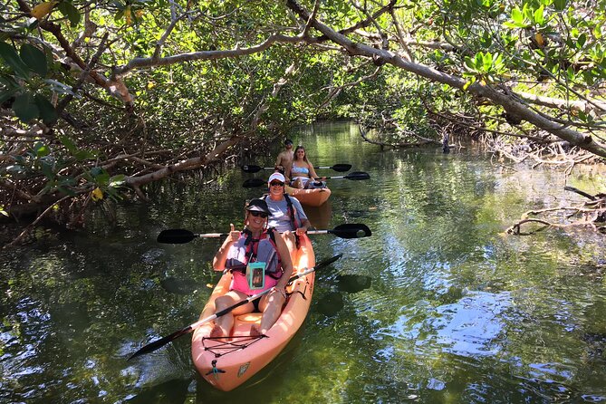 Mangroves and Manatees - Guided Kayak Eco Tour - Key points before you paddle