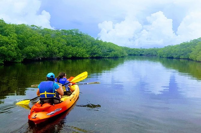 Mangroves and Manatees - Guided Kayak Eco Tour - Starting at the Tavernier Creek launch