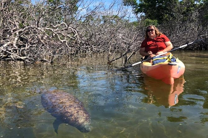 Mangroves and Manatees - Guided Kayak Eco Tour - Paddling the clear waters of Tavernier Creek