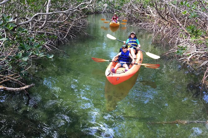 Mangroves and Manatees - Guided Kayak Eco Tour - Is $69 a fair price?