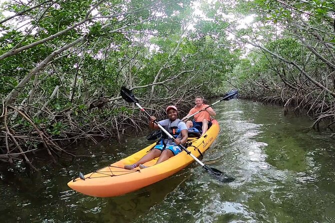 Mangroves and Manatees - Guided Kayak Eco Tour - Who will enjoy this most?