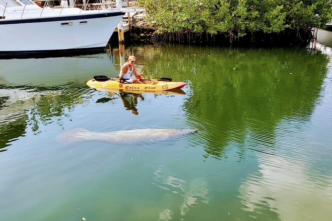 Mangroves and Manatees - Guided Kayak Eco Tour - Learning the basics before leaving shore