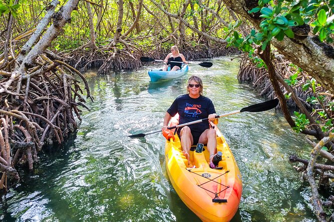 Mangroves, Manatees, and a Hidden Beach: Kayak Tour - Launching From Turtle Beach on Siesta Key