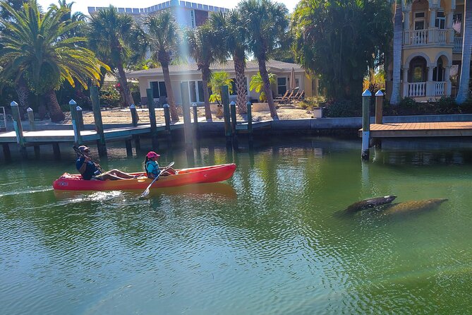 Mangroves, Manatees, and a Hidden Beach: Kayak Tour - Midnight Pass and the Beach Break