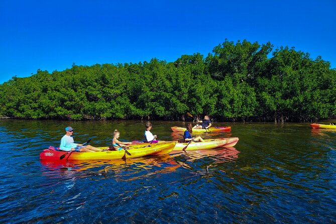 Mangroves, Manatees, and a Hidden Beach: Kayak Tour - What to Bring and How to Prepare