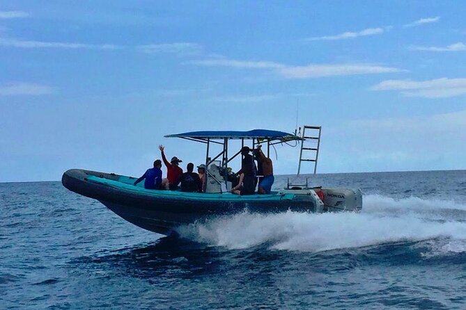 Manta Ray Night Snorkel at Kona, Big Island - How the crew handles nerves and children