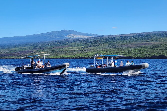 Manta Ray Night Snorkel at Kona, Big Island - What the $44 price really buys you