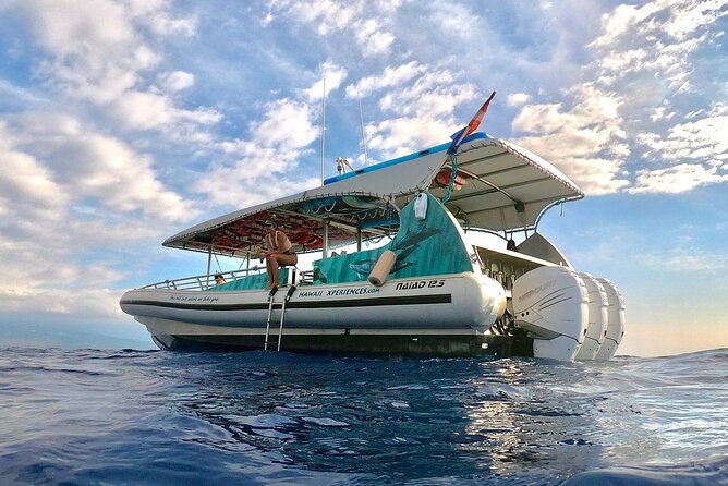 Manta Ray Night Snorkel from Kona — Small Group - Who Will Like This Small Group Tour