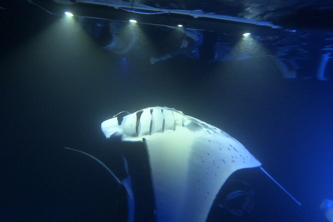 Manta Ray Snorkeling by Night in Kailua-Kona, Hawaii - Entering the water after dark