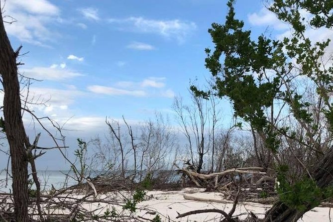 Marco Island 2 hour Dolphin, Birding and Shelling tour - How the two-hour timing works in practice
