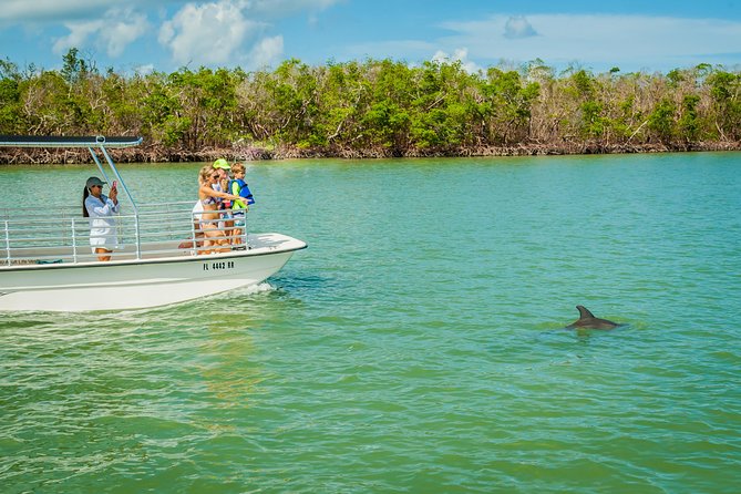 Marco Island Dolphin Sightseeing Tour - What this Marco Island dolphin tour is really like