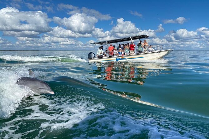 Marco Island Dolphin Sightseeing Tour - Finding dolphins and watching them play