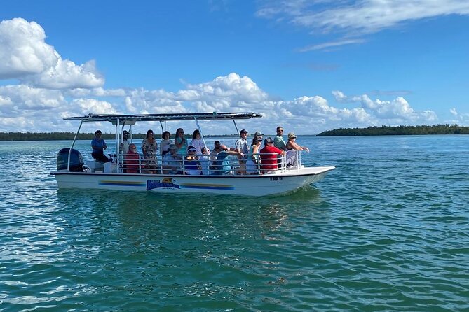 Marco Island Dolphin Sightseeing Tour - Birds, manatees, and the wider wildlife picture