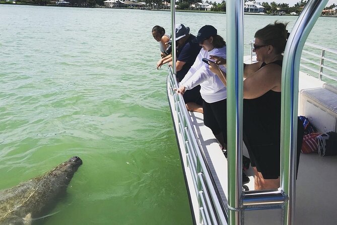 Marco Island Dolphin Sightseeing Tour - Is the two-hour format good value?