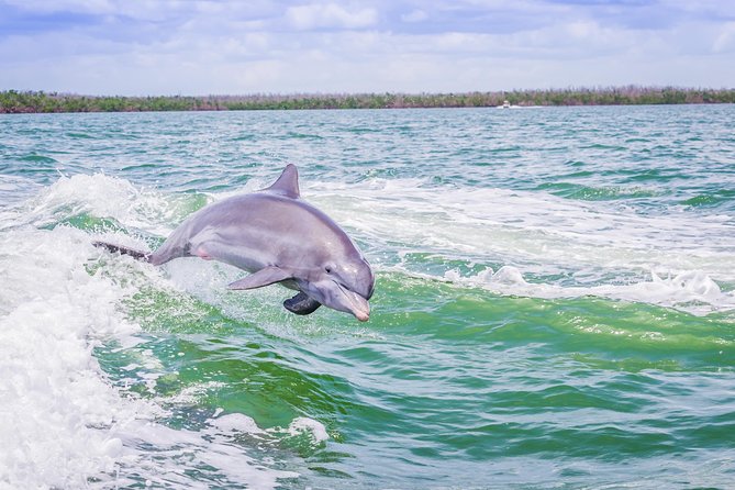 Marco Island Dolphin Sightseeing Tour - Arriving at Goodland Boating Park