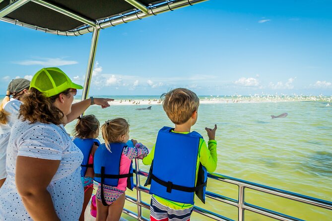 Marco Island Wildlife Sightseeing and Shelling Tour - Key points at a glance
