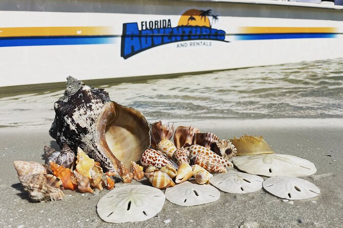 Marco Island Wildlife Sightseeing and Shelling Tour - Goodland Boat Park makes a practical launch point