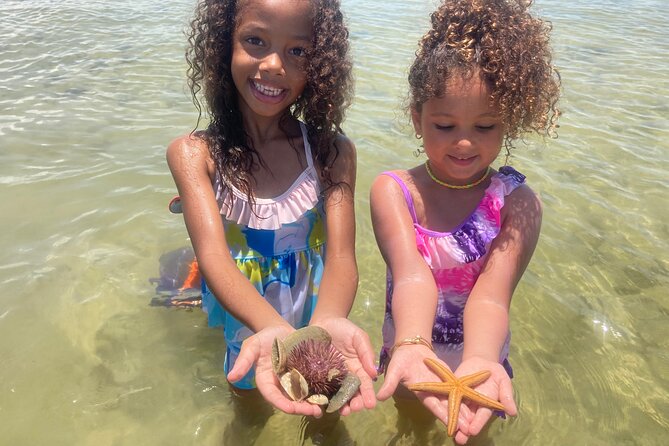 Marco Island Wildlife Sightseeing and Shelling Tour - Wildlife watching depends on patience and timing
