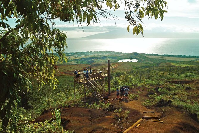 Maui 8 line Zipline Adventure: Soar above valleys & Island views - Key points at a glance