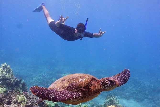 Maui Afternoon Snorkel Aboard Malolo to Molokini or Coral Gardens - The ride is part of the afternoon