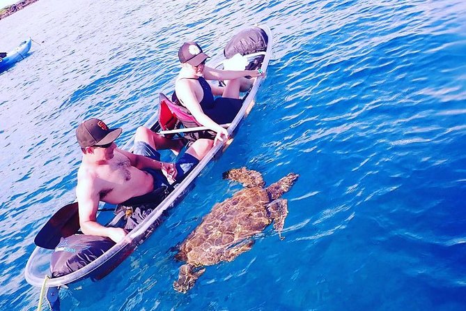 Maui Clear Kayak and Snorkel Tour: Swim with turtles (Makena) - The guides make the difference