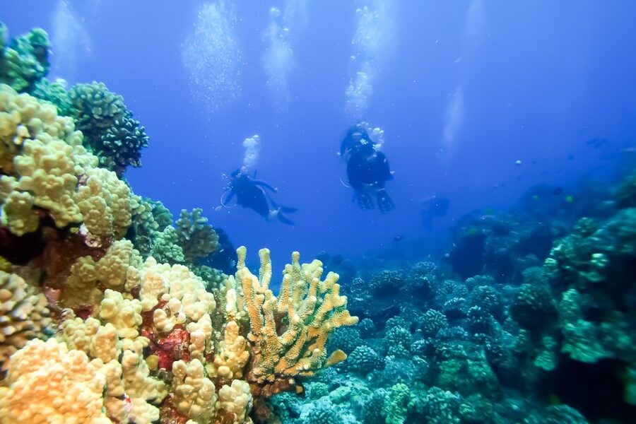 Maui: Eco-Friendly Molokini & Turtle Town Tour with Meals - Meals, Drinks, and Time Between Swims