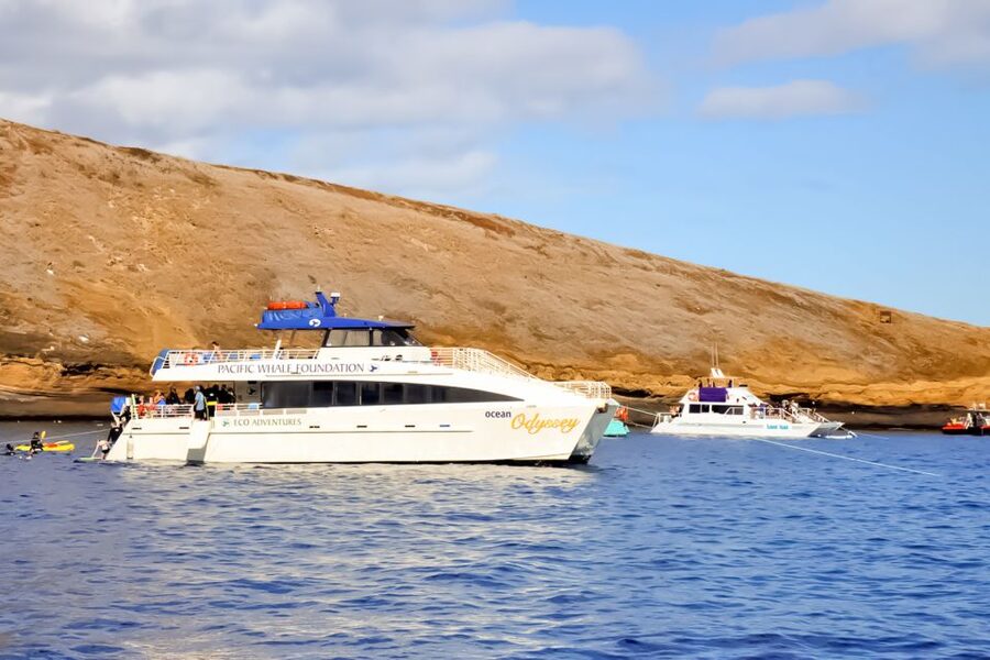 Maui: Eco-Friendly Molokini & Turtle Town Tour with Meals - Group Size, Comfort, and Boat Time
