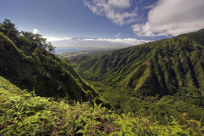 Maui Horseback Adventure at Circle M Ranch With Real Cowboys - Key things to know before you saddle up