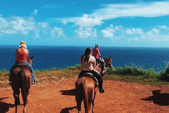 Maui Horseback Adventure at Circle M Ranch With Real Cowboys - Meeting your horse at Circle M Ranch