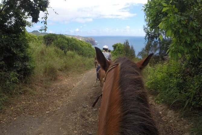 Maui Horseback Adventure at Circle M Ranch With Real Cowboys - Along the coast toward Waihee Valley