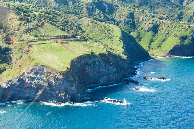 Maui Horseback Adventure at Circle M Ranch With Real Cowboys - What the paniolos add to the experience