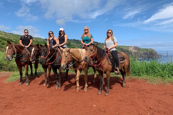 Maui Horseback Adventure at Circle M Ranch With Real Cowboys - Morning or afternoon: which should you choose?
