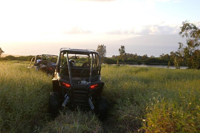 Maui: Lahaina ATV Adventure - Choosing between driving and riding