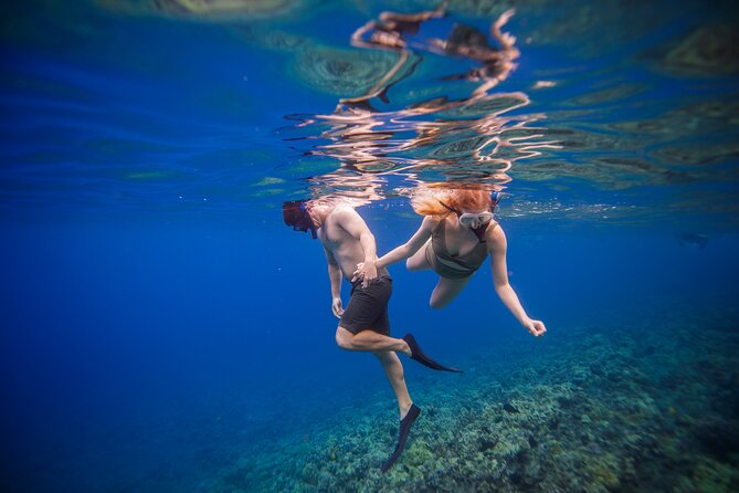 Maui: Molokini Crater and Turtle Town Snorkeling From Kihei - Turtle Town: your best chance for Hawaiian honu