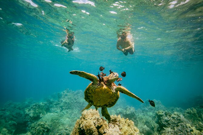 Maui: Molokini Crater and Turtle Town Snorkeling From Kihei - Who should book this snorkeling trip?