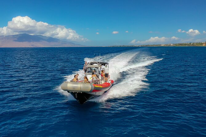 Maui: Molokini Crater and Turtle Town Snorkeling From Kihei - Molokini Crater: the fish and visibility highlight