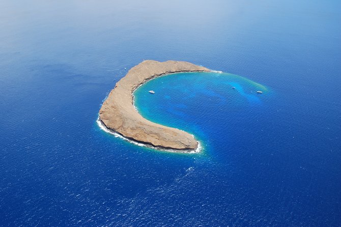 Maui: Molokini & Turtle Town Snorkel & Waterslide Adventure - Why This Tour Works So Well for a Half-Day