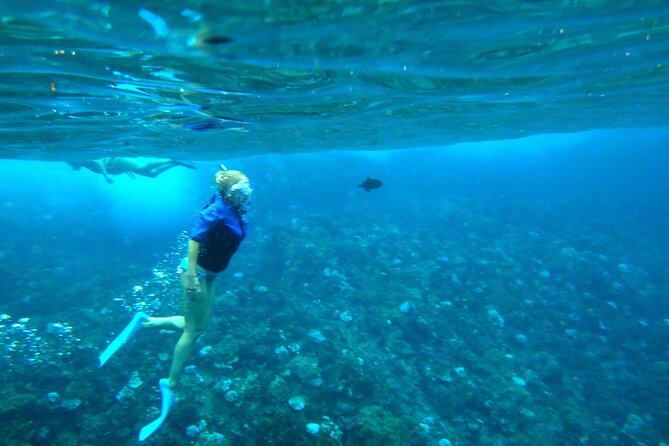 Maui: Molokini & Turtle Town Snorkel & Waterslide Adventure - Turtle Town: A Different Kind of Underwater Stop