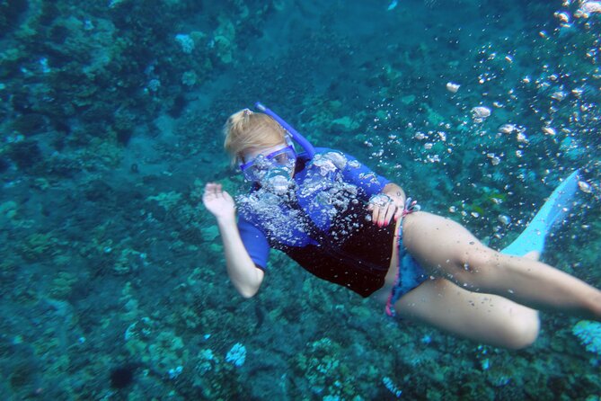 Maui: Molokini & Turtle Town Snorkel & Waterslide Adventure - Water Temperature, Wetsuits, and Comfort