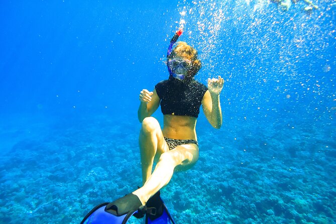 Maui: Molokini & Turtle Town Snorkel & Waterslide Adventure - Starting at Maalaea Harbor at 6:30 a.m.
