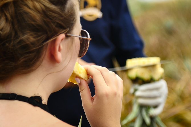 Maui Pineapple Farm Tour in Haliimaile - The Pineapple You Take Home
