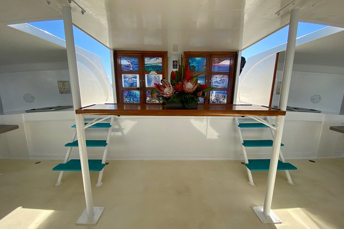 Maui Premium Sunset Dinner Cruise from Ka’anapali Beach - Who Will Enjoy This Cruise Most?