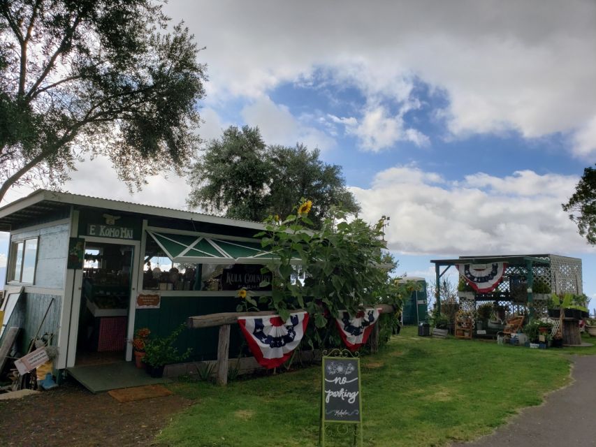 Maui: Road to Hana Adventure with Breakfast & Lunch - Why a guided Road to Hana trip makes sense