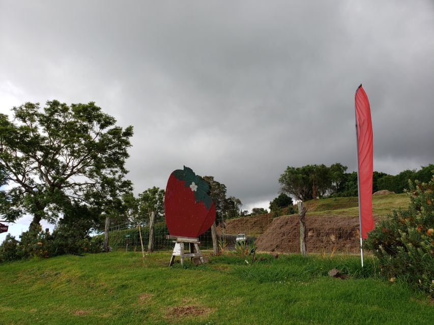 Maui: Road to Hana Adventure with Breakfast & Lunch - The guide matters more than the vehicle