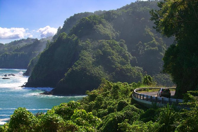 Maui: Road to Hana Adventure with Farm to Table Lunch - Pua’a Ka’a Falls Gives You a Water Break